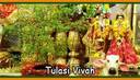 Tulsi Vivah Puja